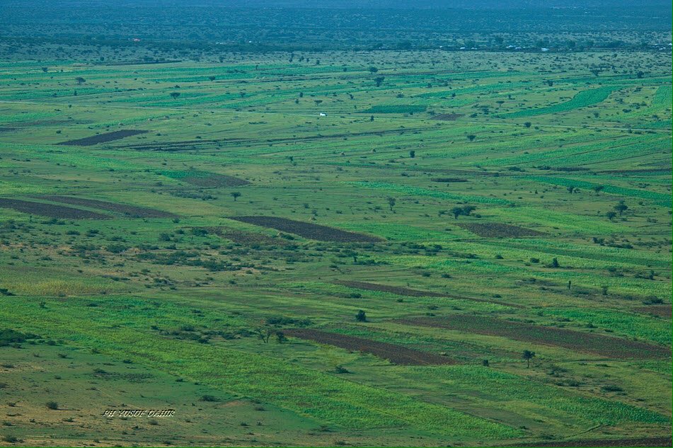 somaliland farms